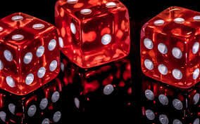 Antarmuka dashboard sportsbook lioncasino